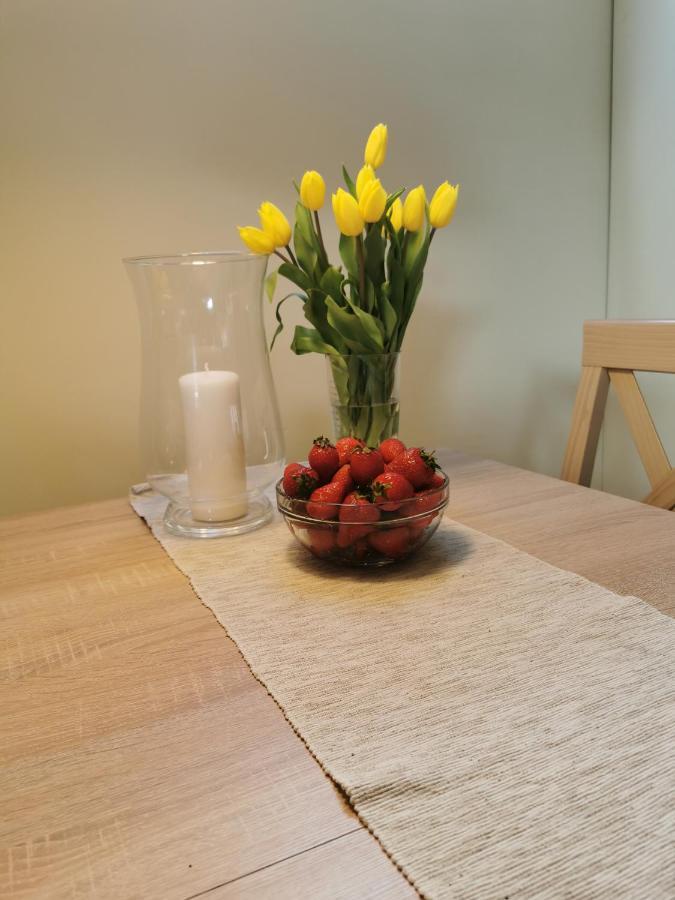 Apartament Z Kogutem ザコパネ エクステリア 写真