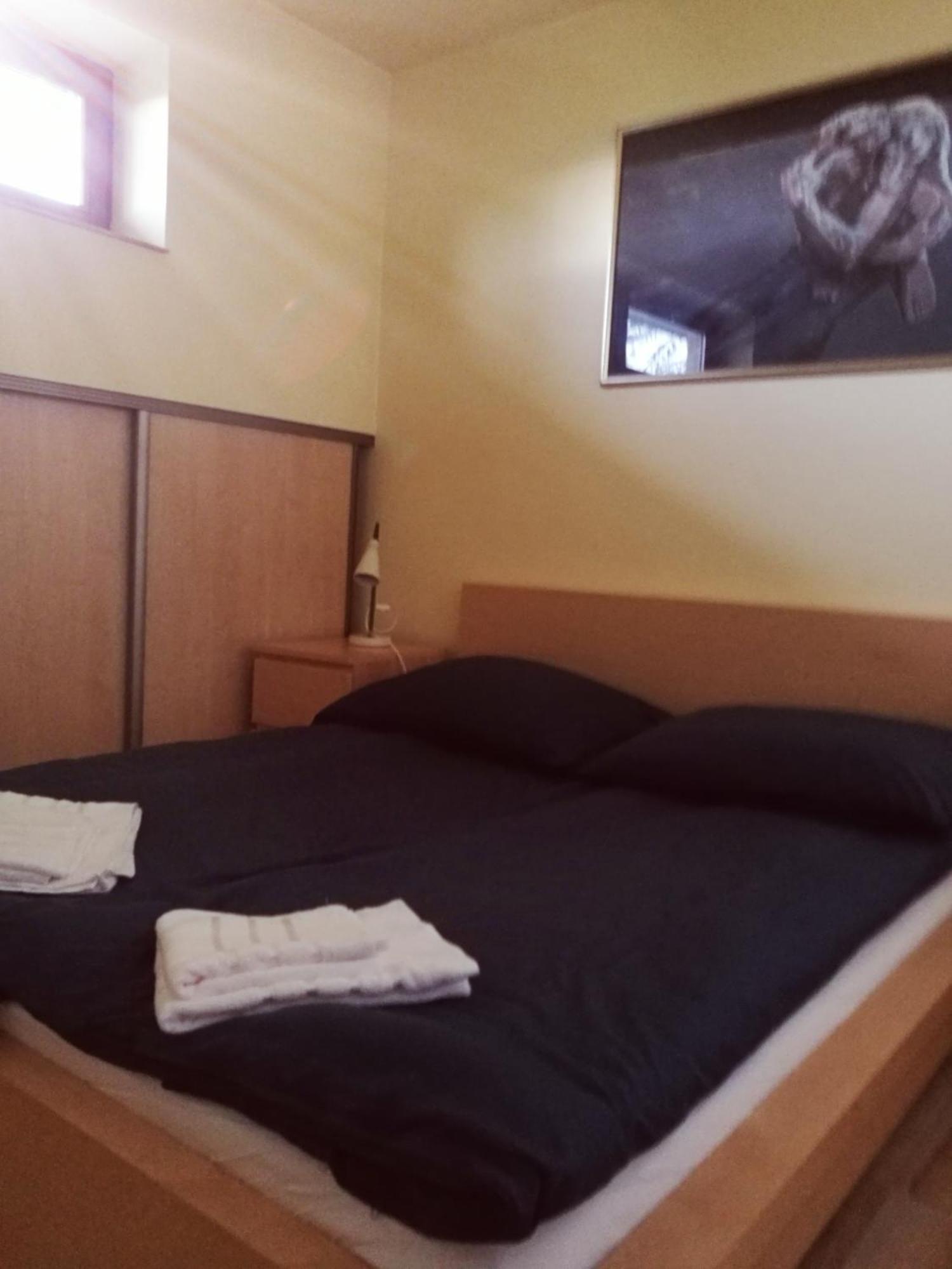 Apartament Z Kogutem ザコパネ エクステリア 写真