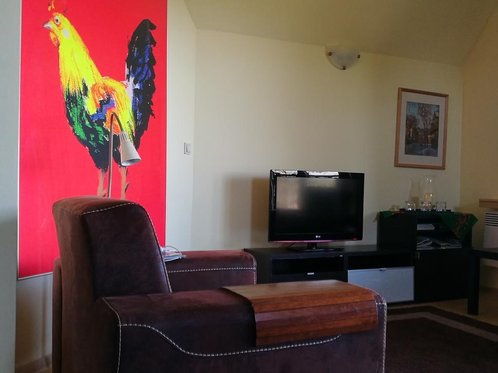 Apartament Z Kogutem ザコパネ エクステリア 写真
