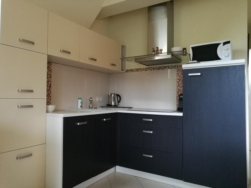 Apartament Z Kogutem ザコパネ エクステリア 写真